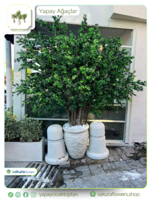 lüks antrasit saksı İçinde formlu dış mekan bitkisi