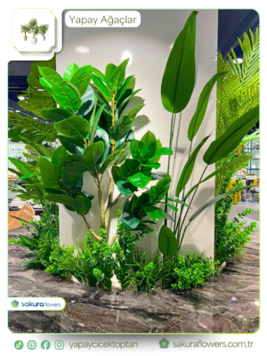 kolon-etrafi-bitki-uygulamasi